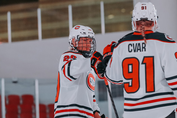 Women’s Hockey Win Streak Stays Strong With Game Against Bulldogs