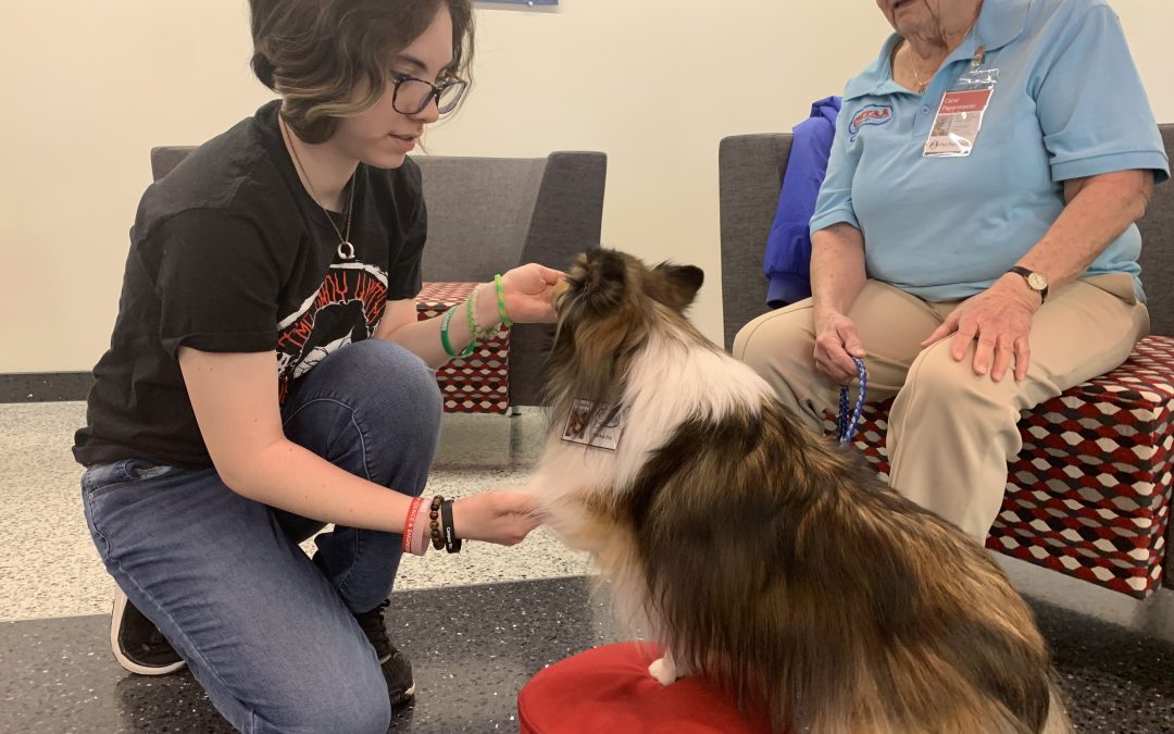 St. Cloud State Students De-Stress With Pets