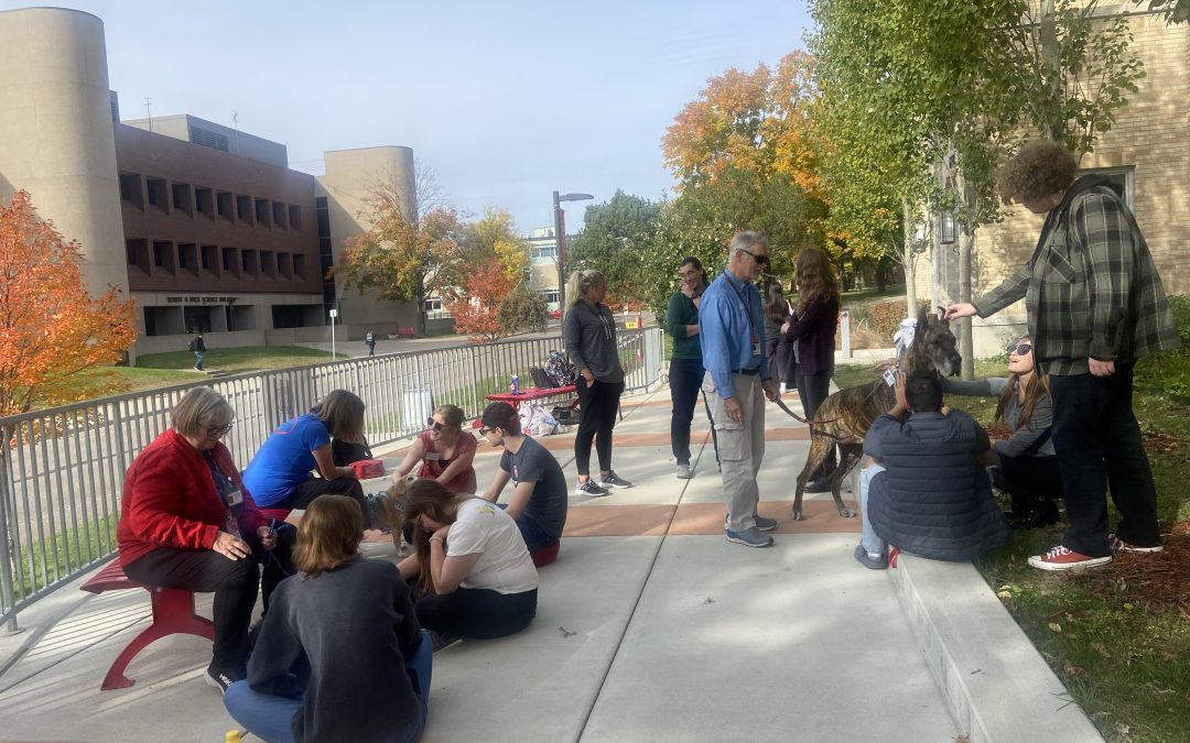 Feeling Stressed? Therapy Dogs Are Here to Help