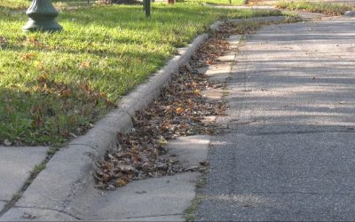 St. Cloud State Ramps Up Fall Cleanups