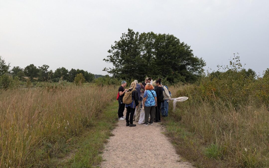 Into The Wild Society Host Dragonfly Catching Event