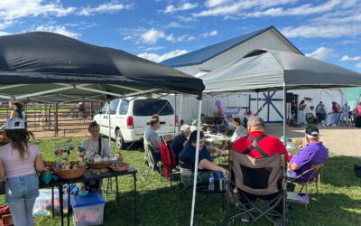 Gates of Hope Combines Horses and Healing for Central Minnesota Community