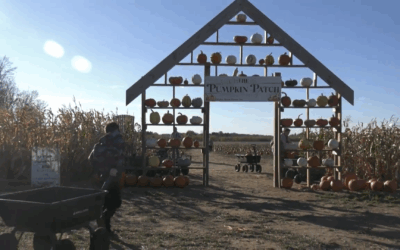 Stoney Brook Farms – A Production Built Around Connection