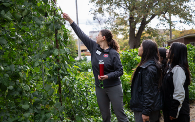 From Garden to Gathering: Students Celebrate the Harvest at SCSU Community Garden